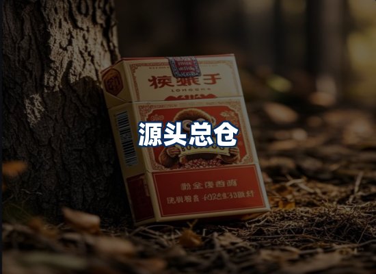 专业团队办公环境